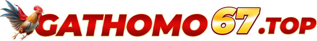 GaThoMo67.Top- Trang đá gà Thomo uy tín khu vực Châu Á 2026